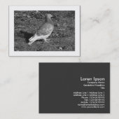 Pigeon BW (grenzt) Visitenkarte (Vorne/Hinten)