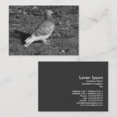  Pigeon BW Visitenkarte (Vorne/Hinten)