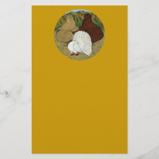 Pigeon Combo Briefpapier (Vorderseite)