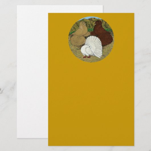 Pigeon Combo Briefpapier (Vorne/Hinten)