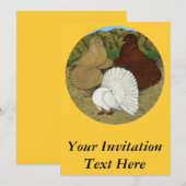 Pigeon Combo Einladung (Vorne/Hinten)