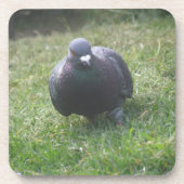 Pigeon Cork Untersetzer (Vorderseite)