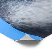 Pigeon Couple Kissing Poster (Ecke)