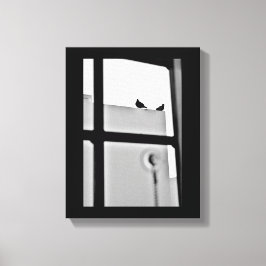 Pigeon Drama Leinwanddruck