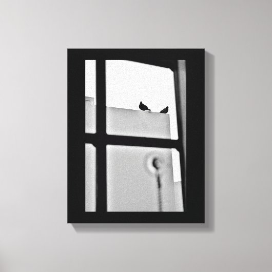 Pigeon Drama Leinwanddruck (Vorderseite)