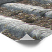 Pigeon-Druck Poster (Ecke)