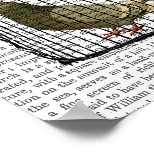 Pigeon Fancier Poster (Ecke)