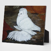 Pigeon Fotoplatte (Seite)