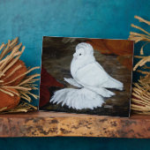 Pigeon Fotoplatte (Seite)