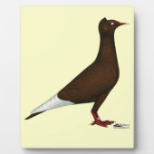 Pigeon Fotoplatte (Vorderseite)