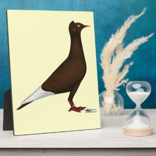 Pigeon Fotoplatte