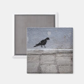 Pigeon Graffiti Magnet (Vorderseite/Rückseite)