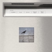 Pigeon Graffiti Magnet (In Situ (Geschirrspüler))