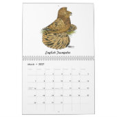 Pigeon-Kalender 2026 Kalender (Mär 2027)