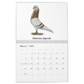 Pigeon-Kalender 2026 Kalender (Feb 2027)