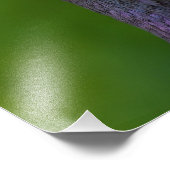 Pigeon Looking inquisitiv Fotodruck (Ecke)