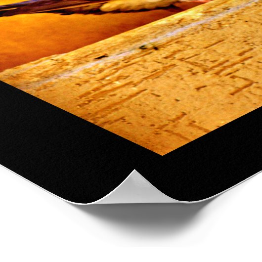 Pigeon Lovers Poster (Ecke)