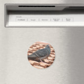 Pigeon Magnet (In Situ (Geschirrspüler))