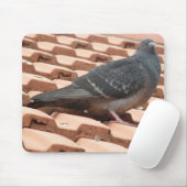 Pigeon Mousepad (Mit Mouse)