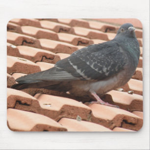 Pigeon Mousepad