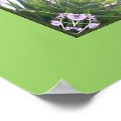 Pigeon Nest Poster (Ecke)