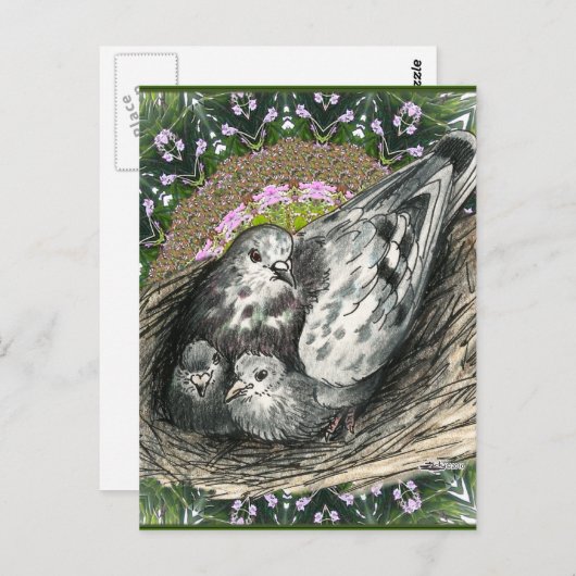 Pigeon Nest Postkarte (Vorne/Hinten)
