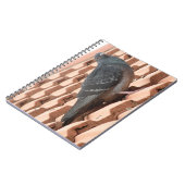 Pigeon-Notebook Notizblock (Linke Seite)