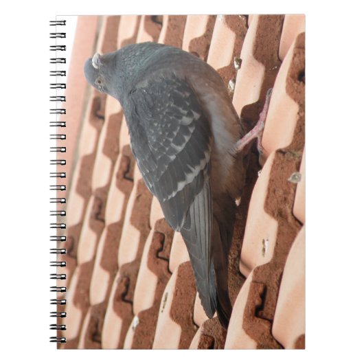 Pigeon-Notebook Notizblock (Vorderseite)