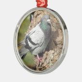 Pigeon Ornament (Links)