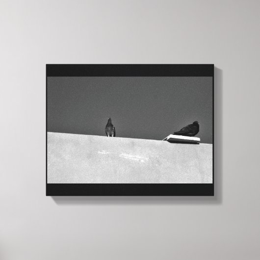 Pigeon Pair Leinwanddruck (Vorderseite)