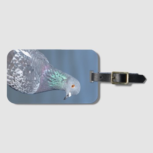 Pigeon Partner Gepäckanhänger (Vorderseite (Horizontal))