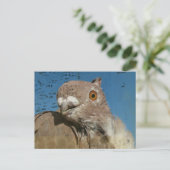 Pigeon Poetry Postkarte (Stehend Vorderseite)