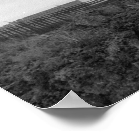 Pigeon Point Lighthouse Poster (Ecke)