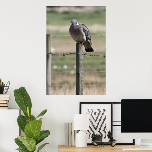 Pigeon Post Poster (Heimbüro)