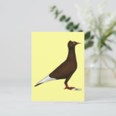 Pigeon Postkarte (Stehend Vorderseite)