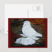 Pigeon Postkarte (Vorne/Hinten)
