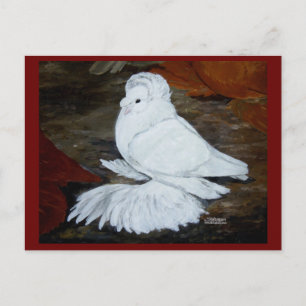 Pigeon Postkarte