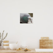 Pigeon Print Poster (Küche)