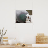 Pigeon Print Poster (Küche)