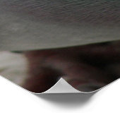 Pigeon Print Poster (Ecke)