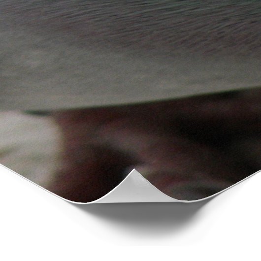 Pigeon Print Poster (Ecke)