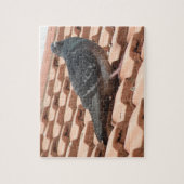 Pigeon Puzzle (Vertikal)
