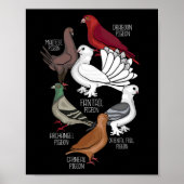 Pigeon Reds King Pigeon Lover Men Tauben Poster (Vorne)