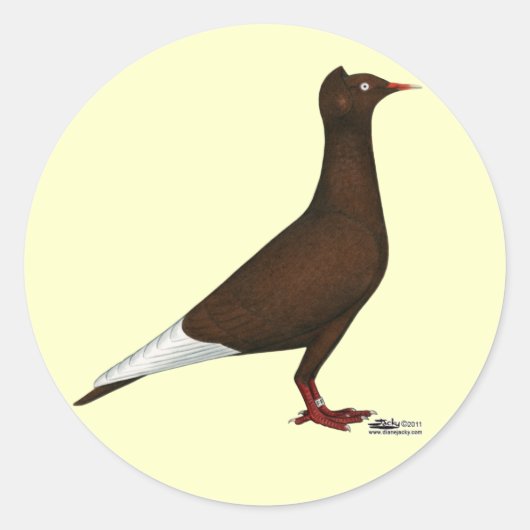 Pigeon Runder Aufkleber (Vorderseite)
