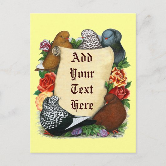 Pigeon Scroll Postkarte (Vorderseite)