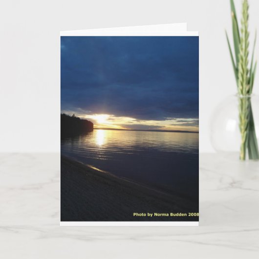 Pigeon See Notecards Karte (Vorderseite)