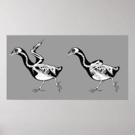 Pigeon Skeletts drucken Poster