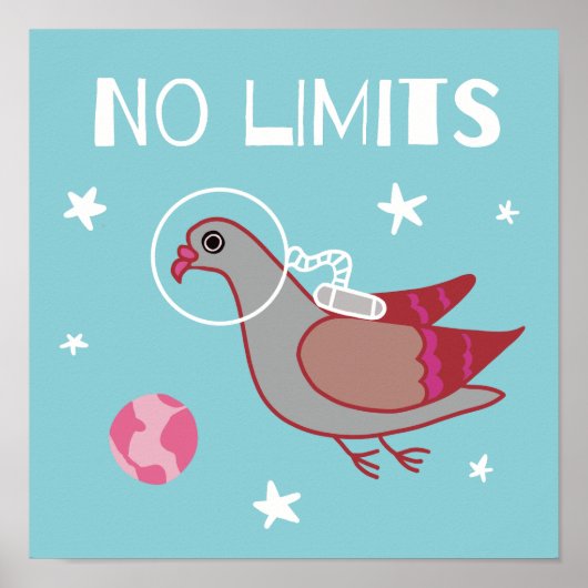 Pigeon Space Explorer Poster (Vorne)
