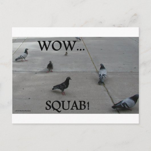 PIGEON SPASS POSTKARTE (Vorderseite)