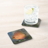 Pigeon Stone Discus Set von 6 Untersetzer (Rechte Seite)